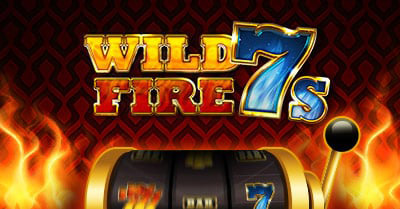 Lupin wild fire 7